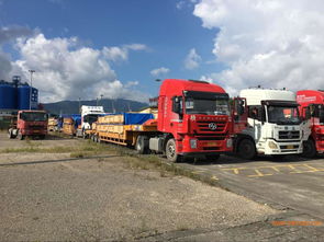 框架柜運輸與國際貨物運輸代理全解析